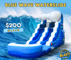 Blue Wave 12' Slide (wet/dry)