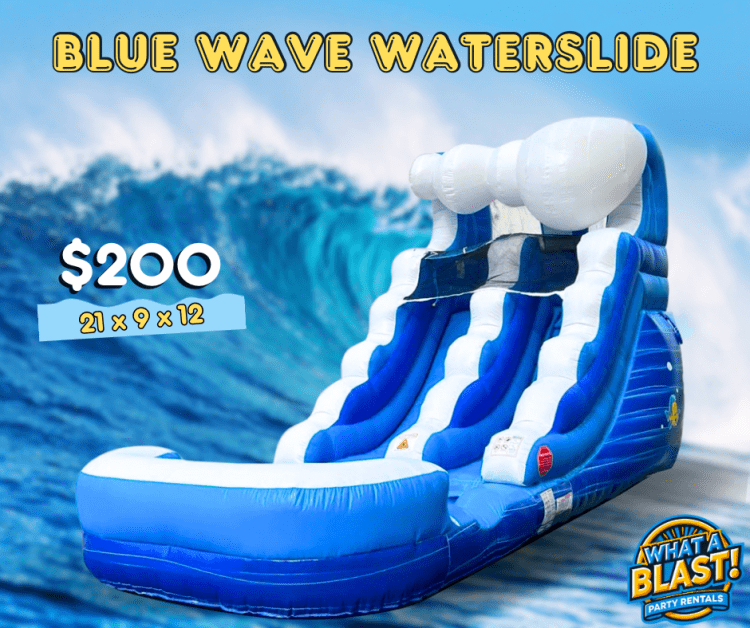 Blue Wave 12' Slide (wet/dry)